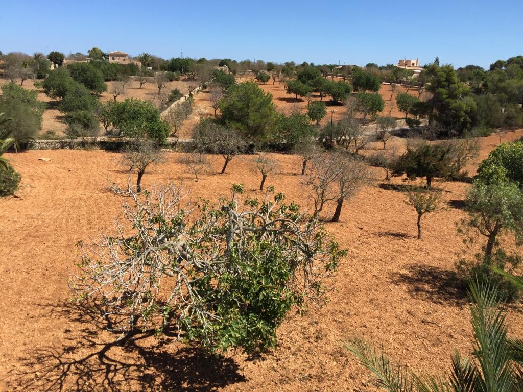 Villa Torrent Des Jai Santanyí Εξωτερικό φωτογραφία